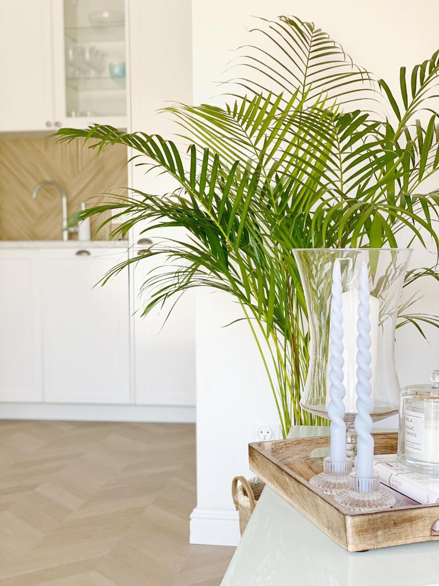 Domki Balticana Wladyslawowo Ngoại thất bức ảnh
